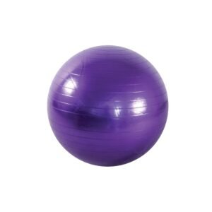 Anti-Burst Gym Ball (65cm)
