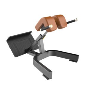 Back Extension X3045