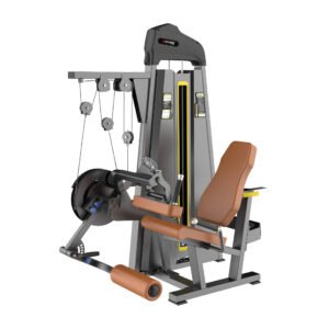 Leg Extension & Leg Curl