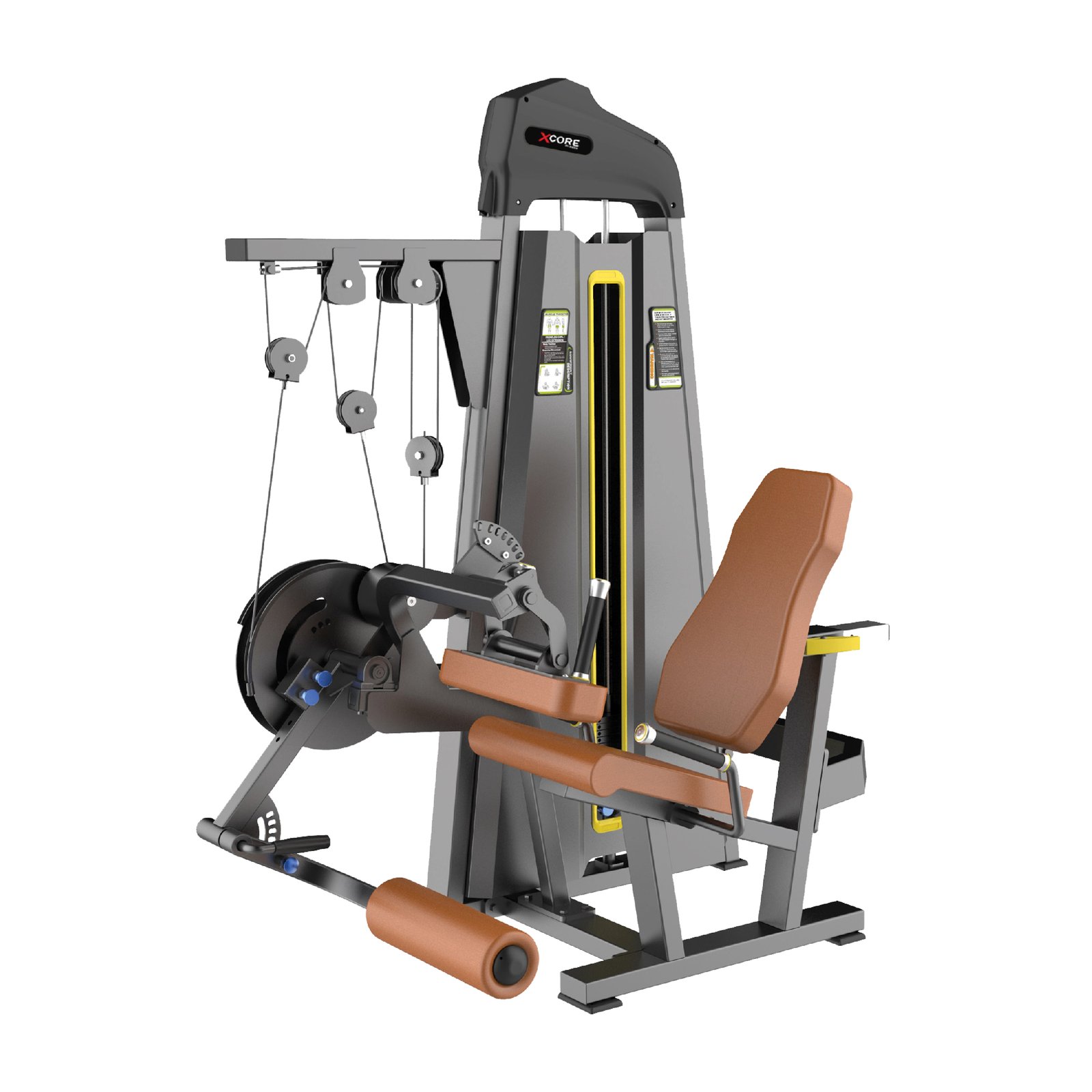 Leg Extension & Leg Curl