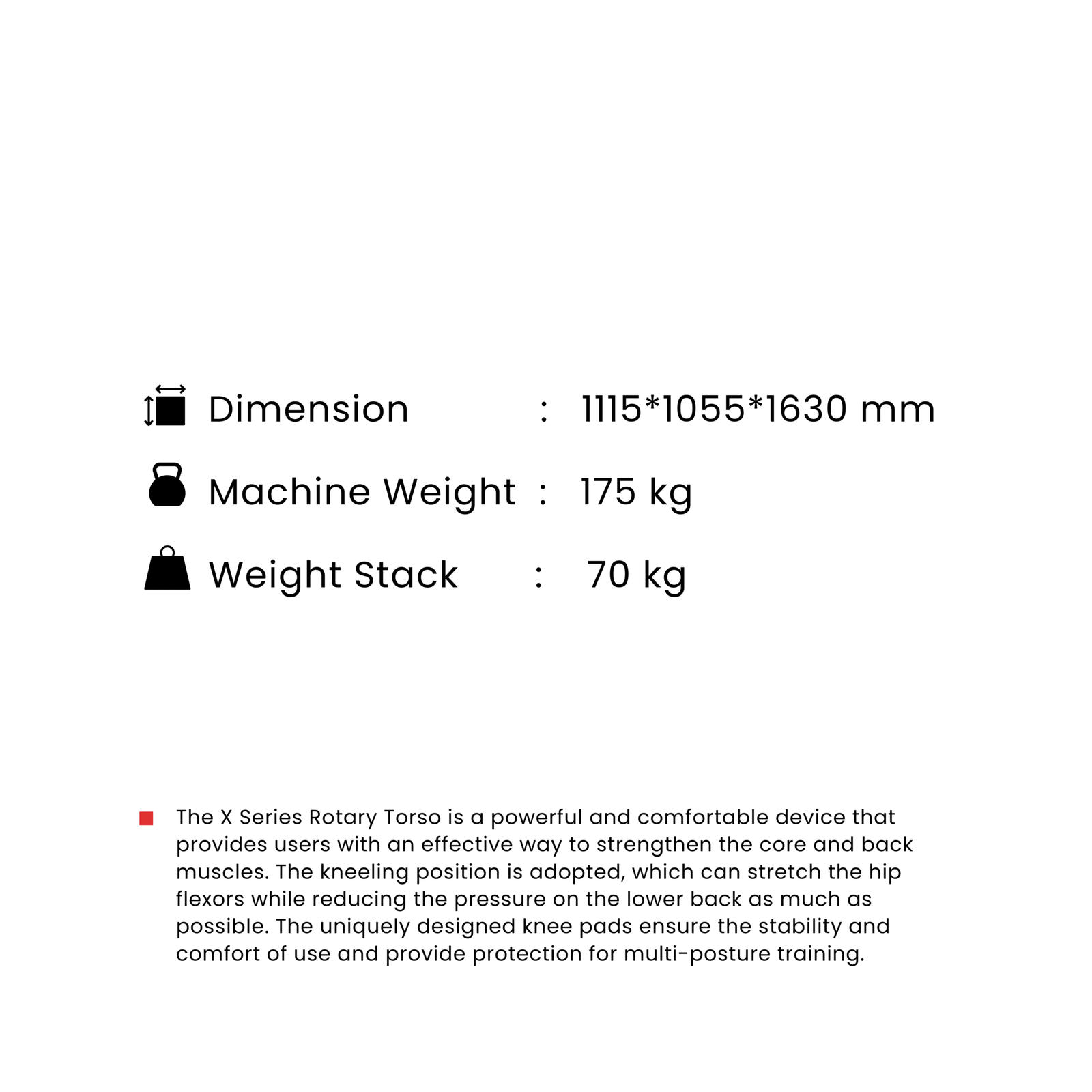 Rotary Torso - Image 2