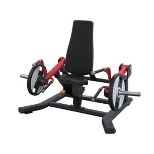 Seated/ Stand Shrug