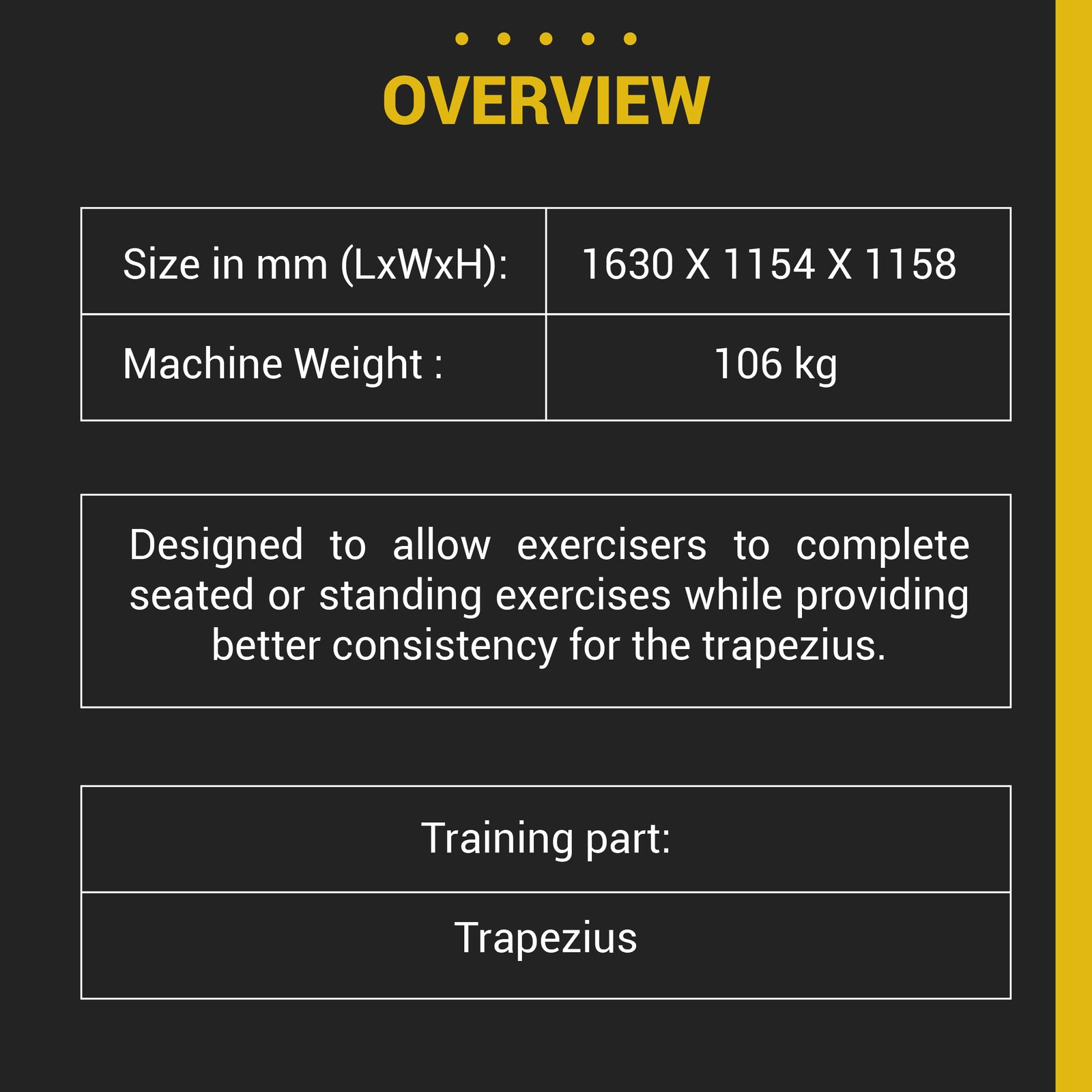 Seated/ Stand Shrug - Image 4